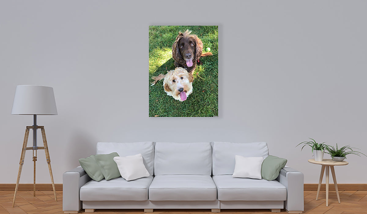 Inspire Picture- Infrared Panel Heater - Frameless
